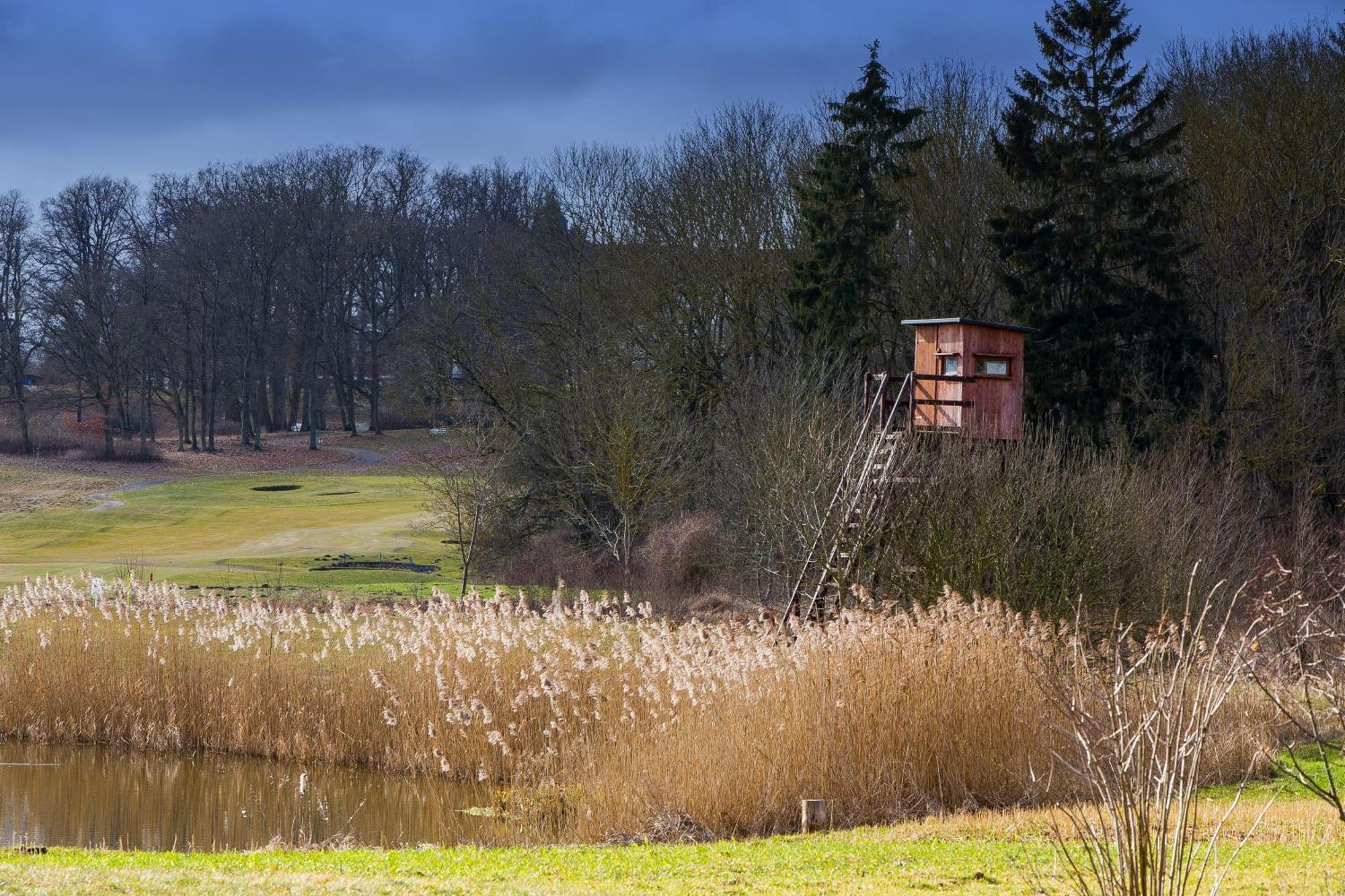 Tiny House Fleesensee Mit Eigenem Garten Und Nur Wenige Meter Vom Seeufer Göhren-Lebbin Exterior foto